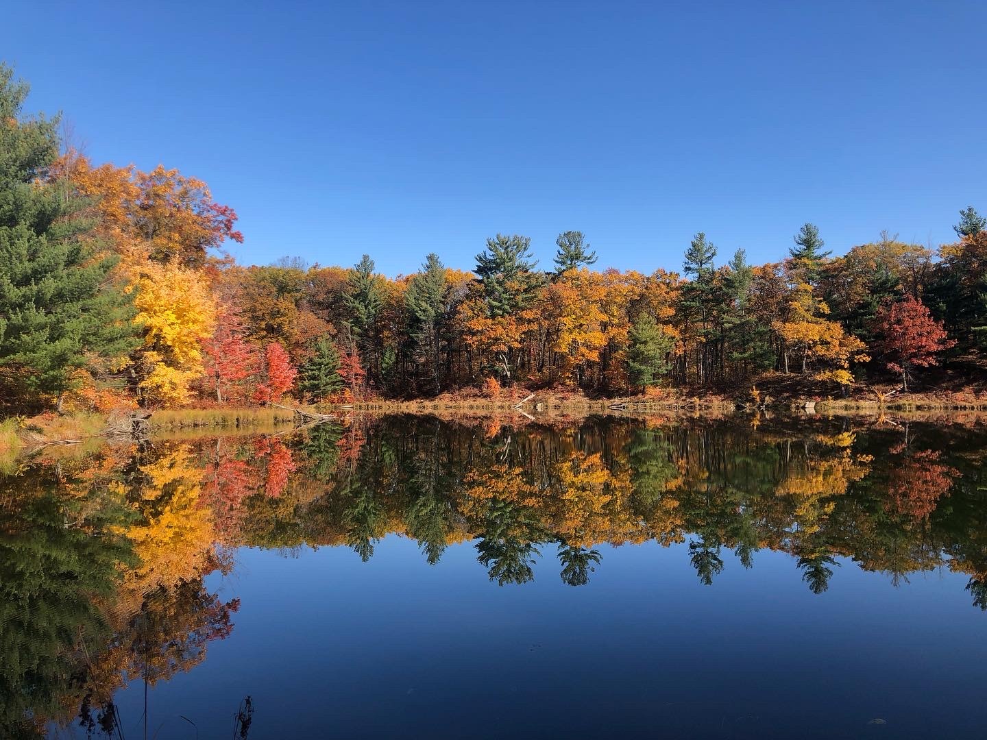Autumn at straight lake state park