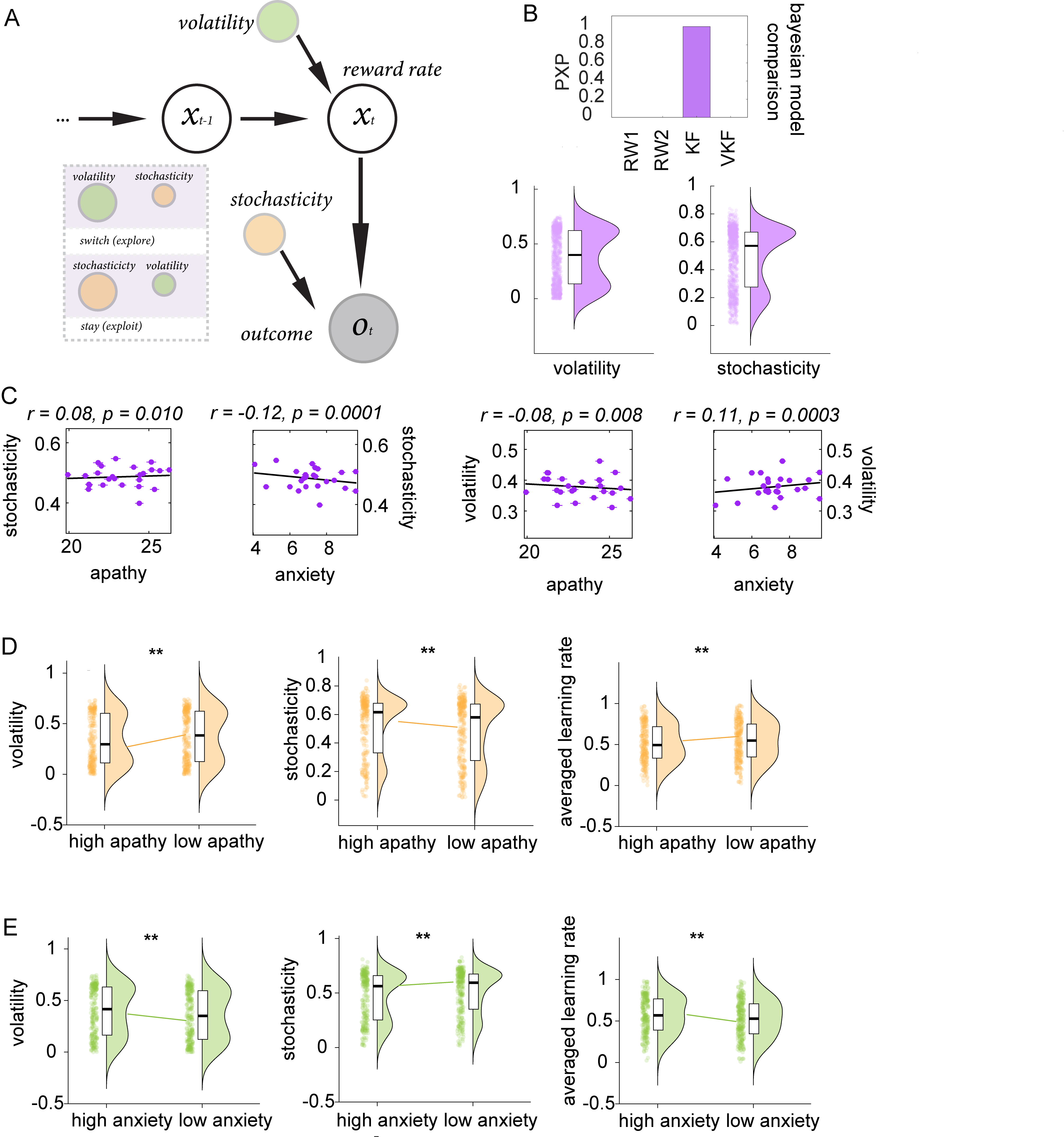 Anxiety and apathy mechanisms